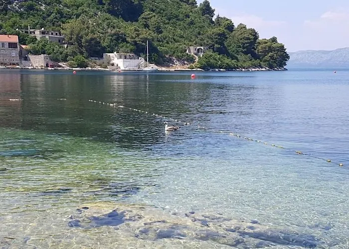 Robi Lejlighed Prožura