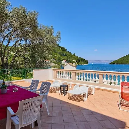 Apartment Robi *