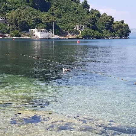 Robi アパート Prožura